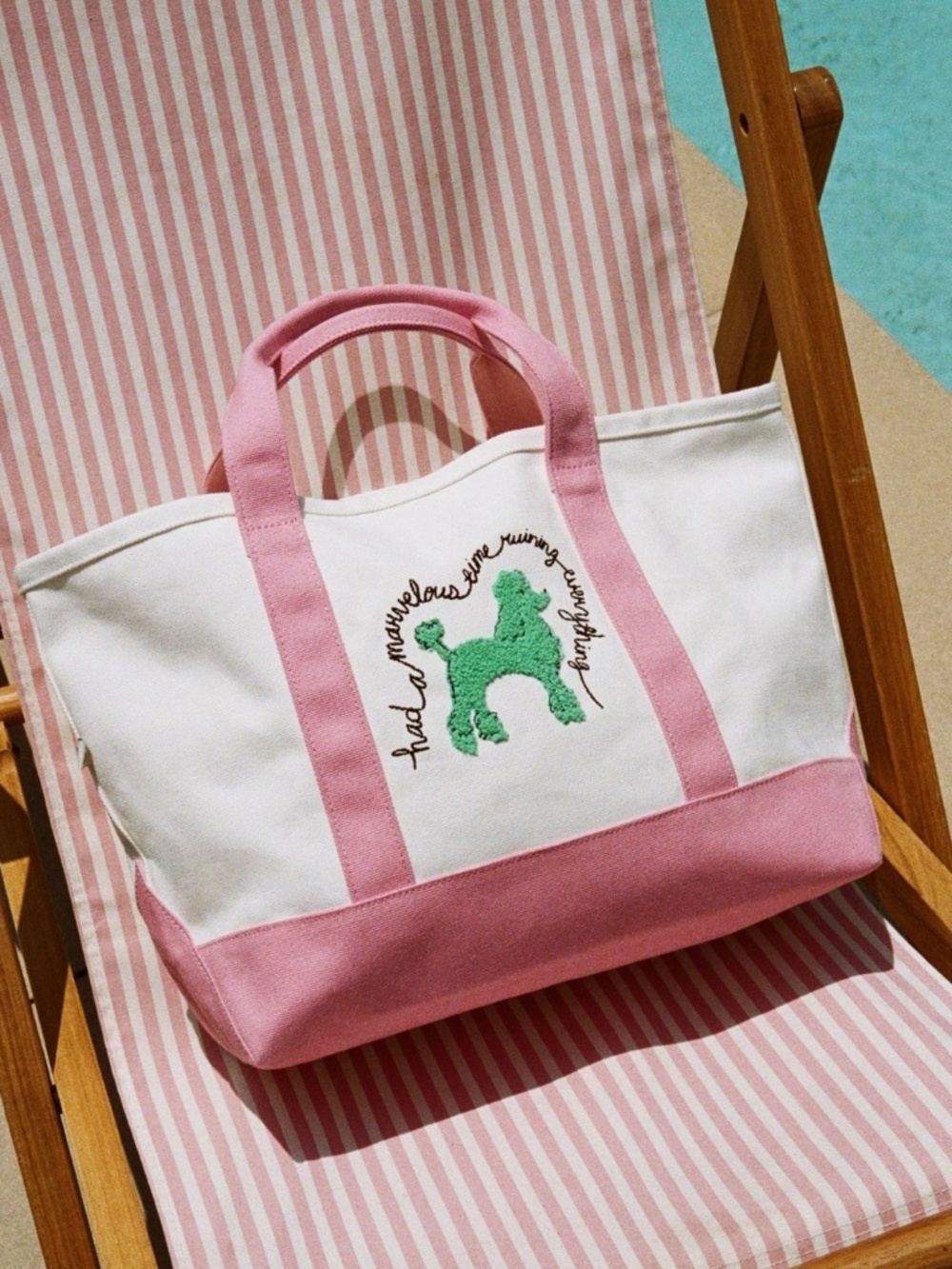 Taylor Swift A Marvelous Time Ruining Everything Tote Bag Dog Poodle Tote TLGAD